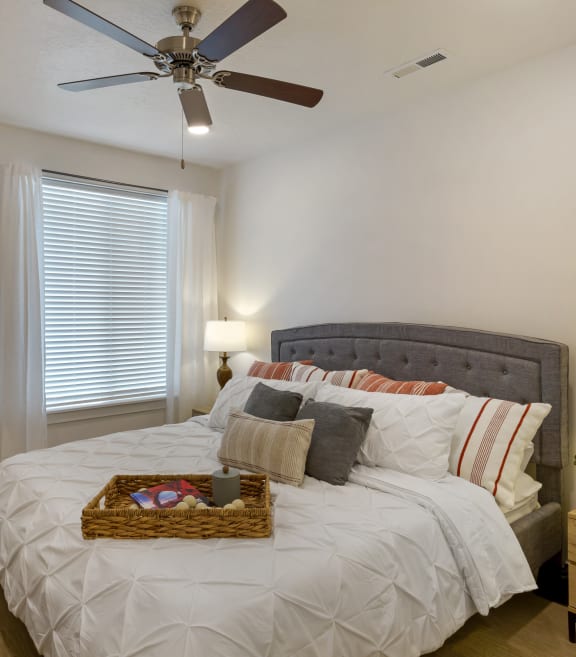 Primary  Bedroom with Large Window at Matheson Apartments