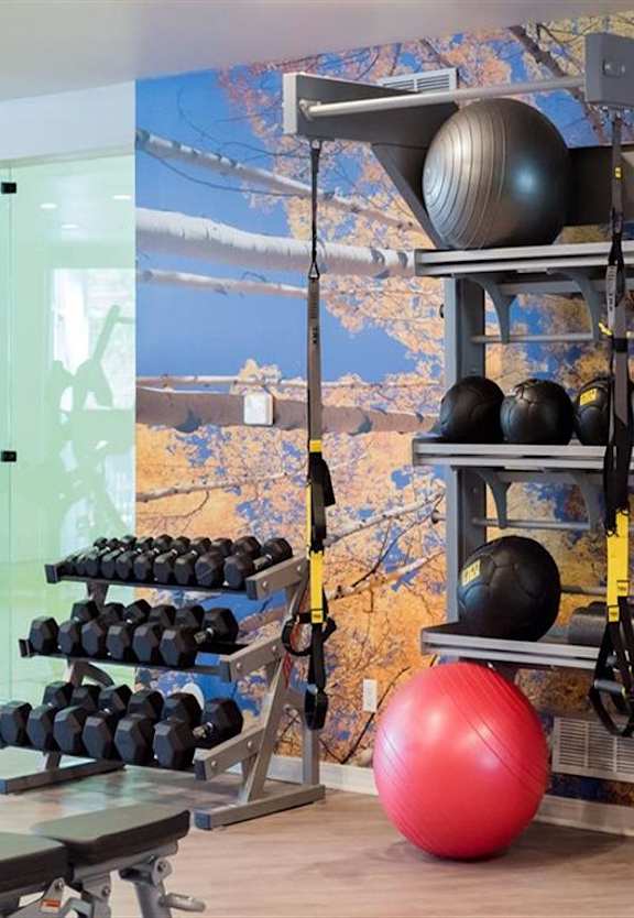 Free Weights In Gym at The Bluffs at Highlands Ranch, Colorado
