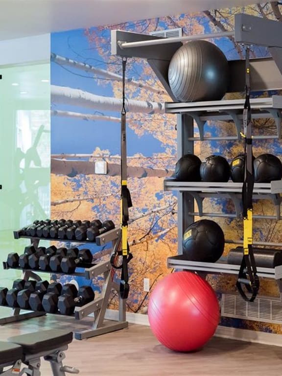 Free Weights In Gym at The Bluffs at Highlands Ranch, Colorado