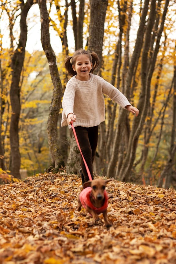A little girl is playing with her dog in a leaf-covered park. at Stonegate Crossing Apartments, IOWA, 50325