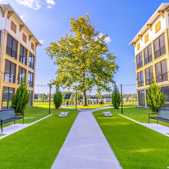 A tree in the middle of a grassy area between two buildings.