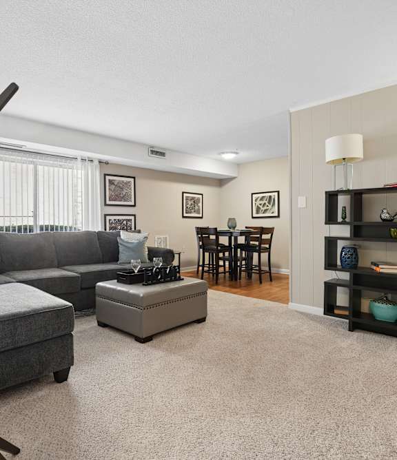 A living room with a grey couch, a tree-shaped object, and a shelf with various decorative items. at The Palms Apartments, Charleston