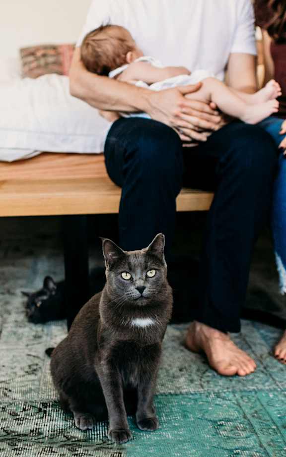 A couple is sitting on a bed with a cat in front of them.at Quari Street Apartments, Aurora