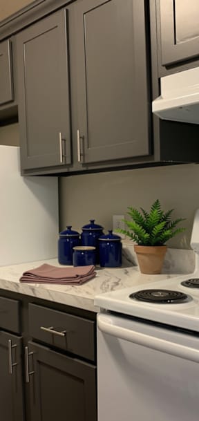 A white stove top oven with a plant on the counter.