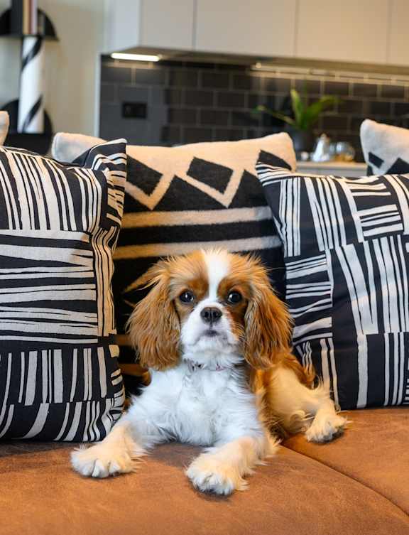 A dog is sitting in the foreground with two people sitting in the background.