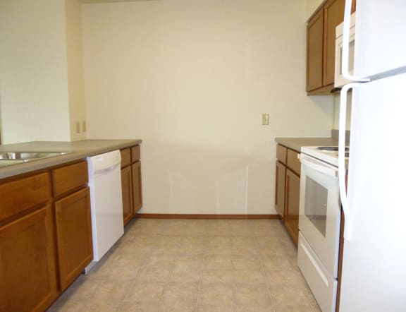 Image of sink, dishwasher, cabinets, stove, fridge