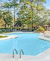 A large blue swimming pool surrounded by trees and a wooden deck.