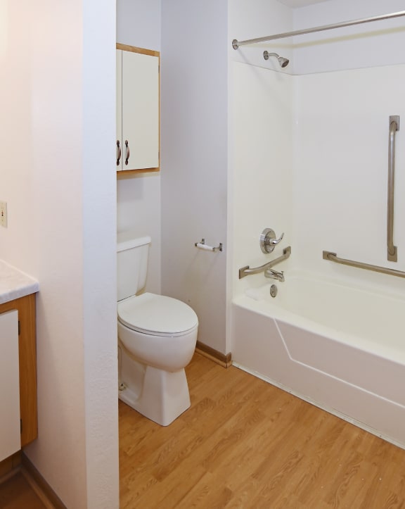 a bathroom with a toilet and a tub and a sink