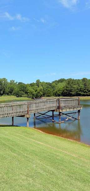 A row of houses with a bridge over a pond in front.