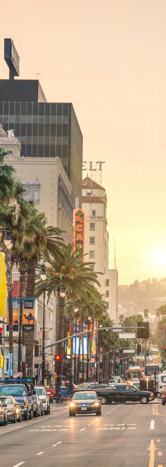a city street with palm trees and cars