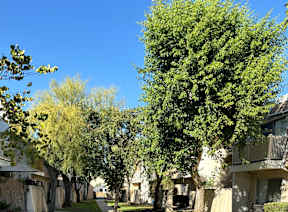 A row of houses with trees in front of them.