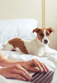 Pet-Friendly Apartments