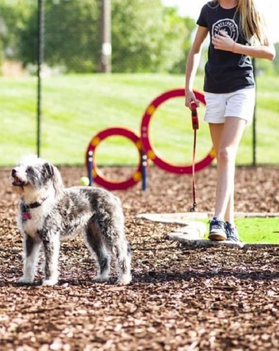 two dogs and two children at a dog park