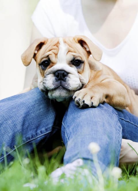 a woman sitting in the grass with a puppy on her lap