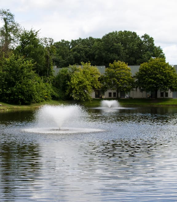 Fountain View at Woodland Meadows, Clinton Township, 48035
