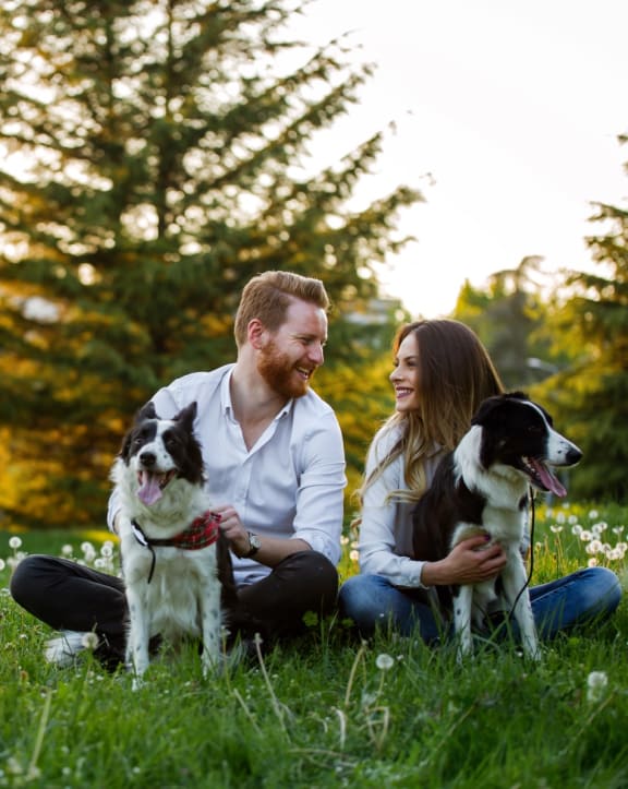 Couple Smiling at Each Other While Holding Dogs