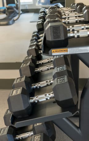 a row of weights on a table in a gym