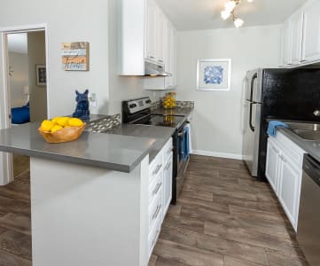 Kitchen with stainless steel appliances and tile backsplashes