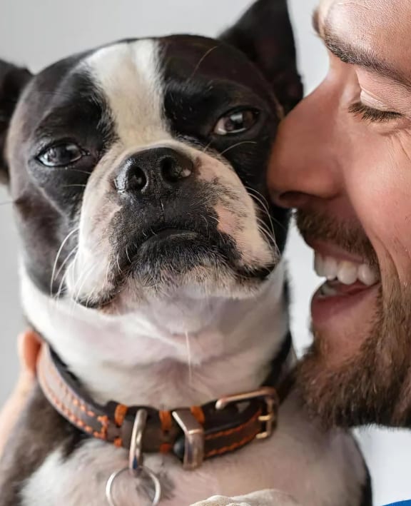 Dog with Owner