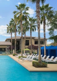 exterior pool view at Avora with palm trees, lounge chairs, and cabanas