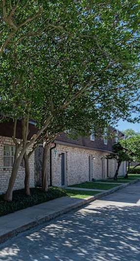 A parking lot with a building and a tree in front.
