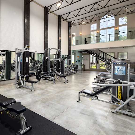 a gym with a lot of weights and cardio equipment
