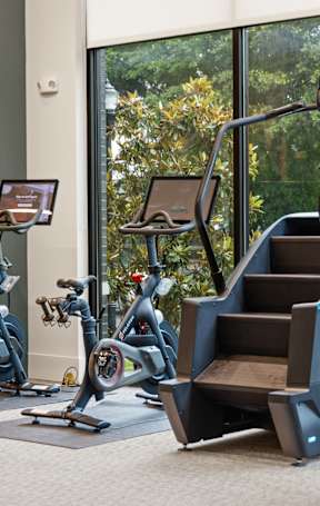 A gym with exercise equipment and a window showing trees.