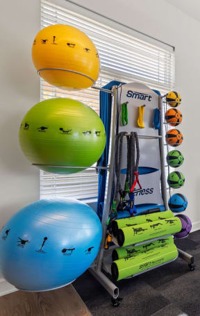 a workout room with weights and balls and a mirror