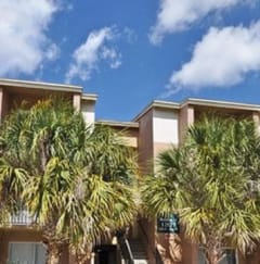 a building with palm trees in front of it at Oak Chase I, Tampa, FL
