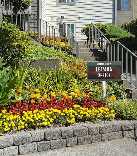 A flower bed in front of a house with a leasing office sign.