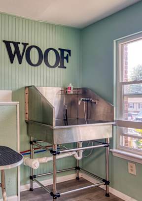 Pet-Friendly Community at The Everett, Roanoke, 24018