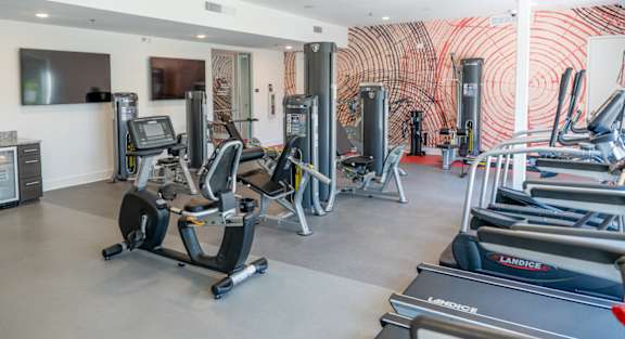 a gym with cardio equipment and a wall with a painting of red spirals at 20 Midtown, Birmingham, AL, 35233