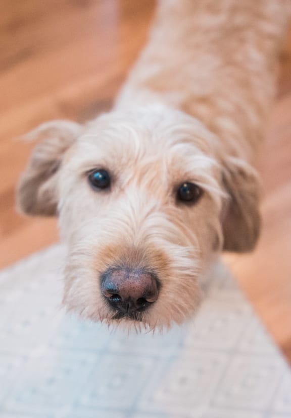 Station 280 Apartments in Granby, CT