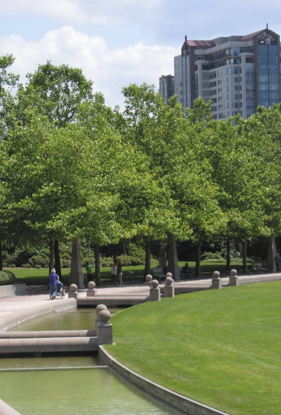 community park and trees  at Townside Flats, Redmond, 98052