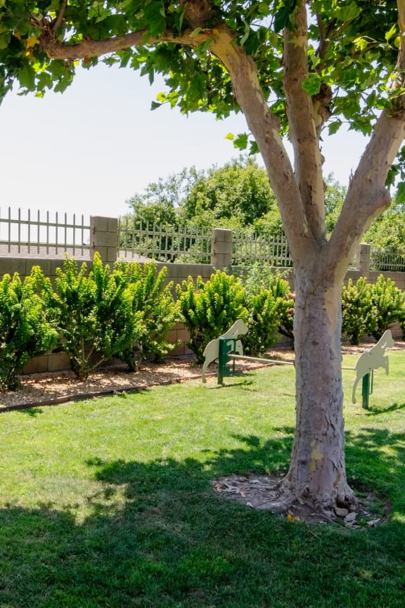a park with a tree and benches in the grass at Aspire Rialto, Rialto, California