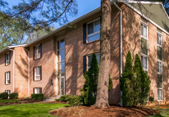 Apartments In Columbia Md The Brook At Columbia