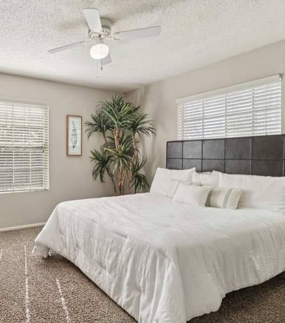 A bedroom with a bed, a dresser, and a ceiling fan.
