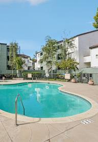 Pool View at The Maddox Sunnyvale, Sunnyvale California