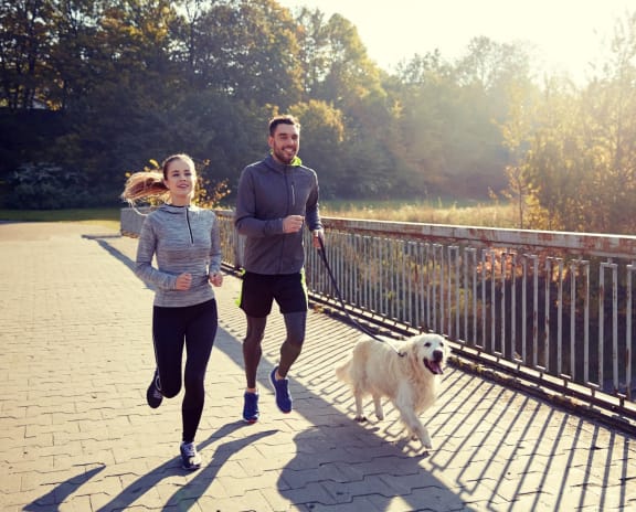 Couple Jogging Outside with Golden Retriever