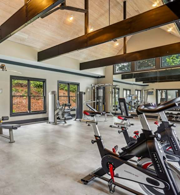 a gym with treadmills and other exercise equipment and a pool