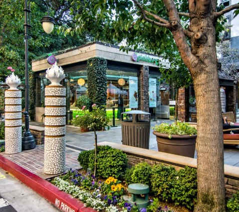 A street view with a green tree, a red curb and a sign that says