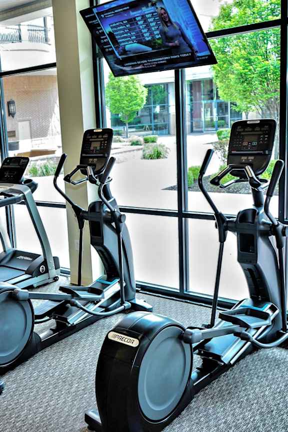 A row of treadmills are lined up in a gym. at Inkwell Greenhouse, Houston, 77084