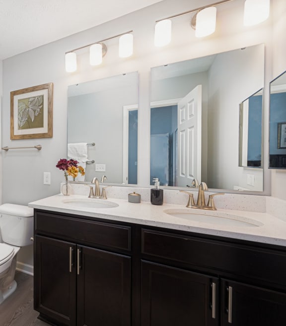 the preserve at ballantyne commons apartment bathroom with sink toilet and shower