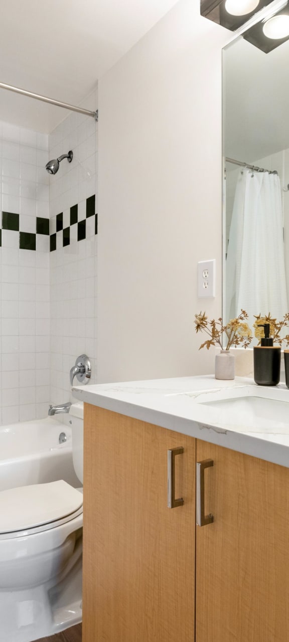 a bathroom with a sink and a toilet and a shower