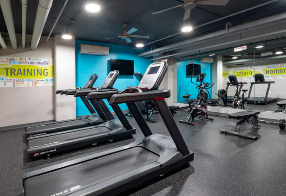 a group of treadmills and other exercise equipment in a gym