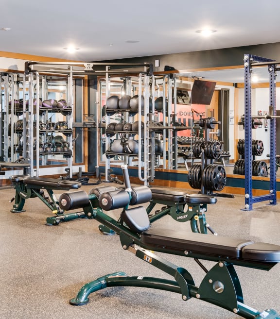 a gym with cardio equipment and weights on the floor