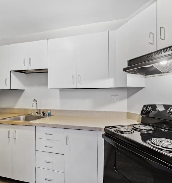 Kitchen at Delmar Loop Apartments, Missouri