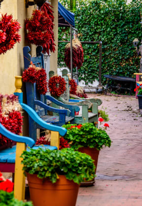 a row of colorful benches and potted plants in front of a building