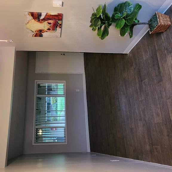 a hallway with a window and a potted plant on the wall