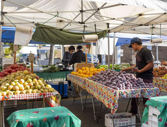 people shopping for fruits and vegetables at the San Carlos Farmers' Market